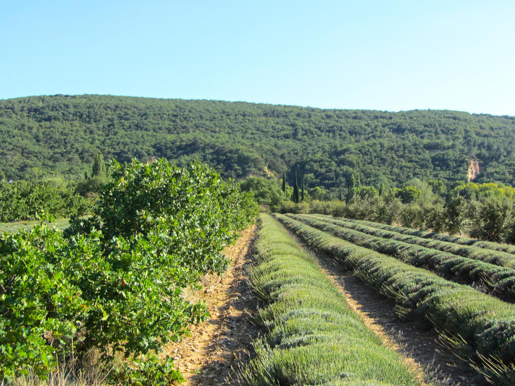 Gites de La Croix du Gres Valaurie Extérieur photo